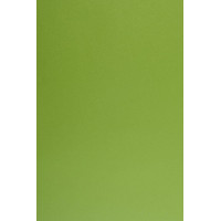 Декоративна стінова панель Super Profil (рейкова) Зелена вода