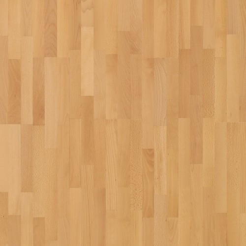 Паркетна дошка Parador Бук натуральний матовий лак 3-х, колекція Basic, арт.1569684, пр-во Німеччина