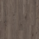 Ламінат Parador Дуб копчена біла олія Basic 400 V4 1593796