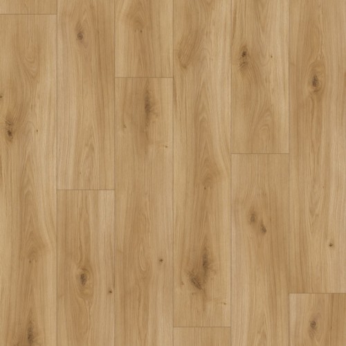 Ламінат Parador Дуб Горизонт натуральний матовий Basic 400 V4 1593797