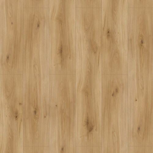 Ламінат Parador Дуб Горизонт натуральний Basic 600 V4 1593845