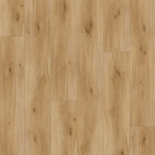 Ламінат Parador Дуб піщаний Basic 400 V0 1426462