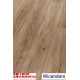 Виниловый пол Wicanders Hydrocork Light Dawn Oak B5WS001