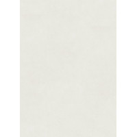 Биопол Wineo Purline 1500 PL Fusion XL Cool one PL107C