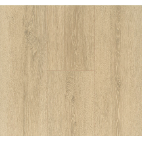  Дизайнерська підлога SPC Parador Basic 5.3 Oak Studioline sanded 1743008