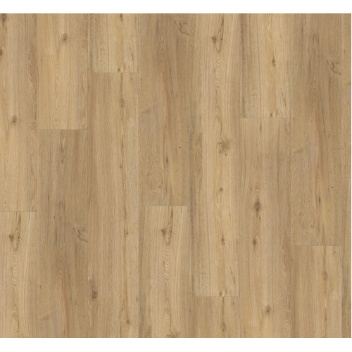  Дизайнерська підлога SPC Parador Basic 5.3 Oak natural Brushed 1743004