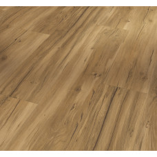  Дизайнерська підлога SPC Parador Basic 5.3 Oak Memory natural 1743003