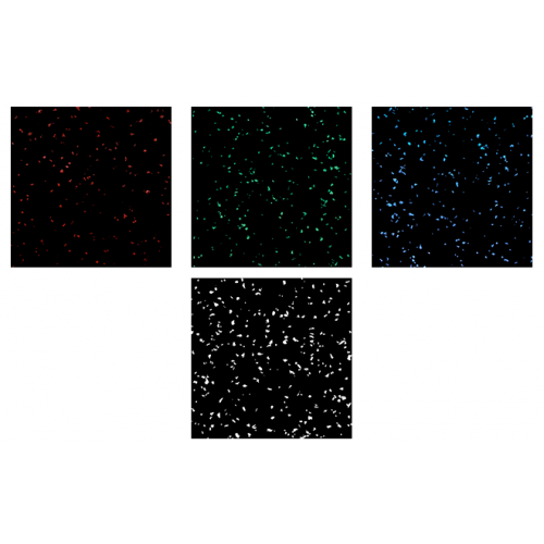 Гумовий мат (плитка) ECO-GUMA Premium 1185 х 1775 х 0,7 мм