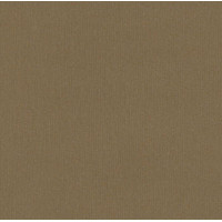 Вінілові шпалери AdaWall Beta 1106-5 Коричневий