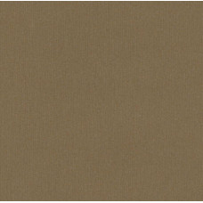 Вінілові шпалери AdaWall Beta 1106-5 Коричневий