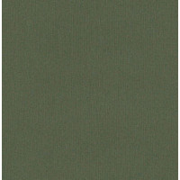 Вінілові шпалери AdaWall Beta 1106-6 Хакі