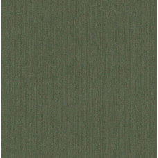 Вінілові шпалери AdaWall Beta 1106-6 Хакі