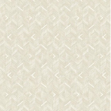 Вінілові шпалери AdaWall Beta 1107-1 Бежевий