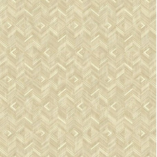 Вінілові шпалери AdaWall Beta 1107-3 Бежевий