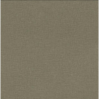 Вінілові шпалери AdaWall Beta 1110-6 Коричневий