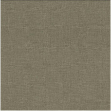 Вінілові шпалери AdaWall Beta 1110-6 Коричневий