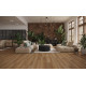 Ламінат Classen Emotions 4V WR 62492 Helmond Oak