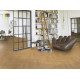 Паркетна дошка Parador TT10 mV4 Дуб Chevron Oak Natur мат лак 1748484