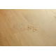 Вінілове покриття Quick-Step Blos base - Small Planks Дуб узбережний медовий AVSPT40320 (4mm)