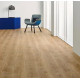 Вінілове покриття Forbo Enduro 69101 Pure oak (2 мм)