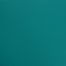 Гетерогенне покриття ПВХ Tarkett OMNISPORTS V83 TEAL