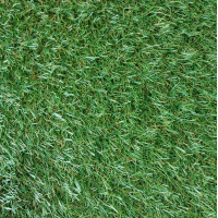 Штучна трава Condor Launch 25