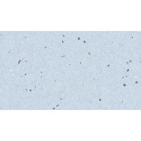 Гомогенное покрытие ПВХ Tarkett Eclipse Premium PASTEL SKY BLUE 0079