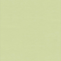 Гомогенне покриття ПВХ Tarkett WALLGARD GREEN