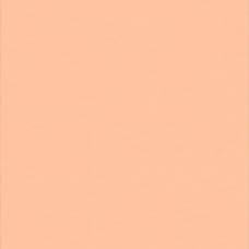 Гомогенне покриття ПВХ Tarkett WALLGARD ORANGE