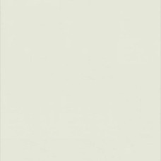 Гомогенне покриття ПВХ Tarkett WALLGARD WHITE GREEN