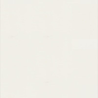 Гомогенне покриття ПВХ Tarkett WALLGARD WHITE