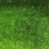 Штучна трава Condor MEGAN 38