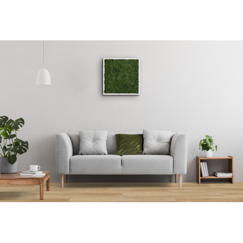 Вінілове покриття SPC CHECK Basic BUCHRASEN OAK 2461 (4,5 мм)