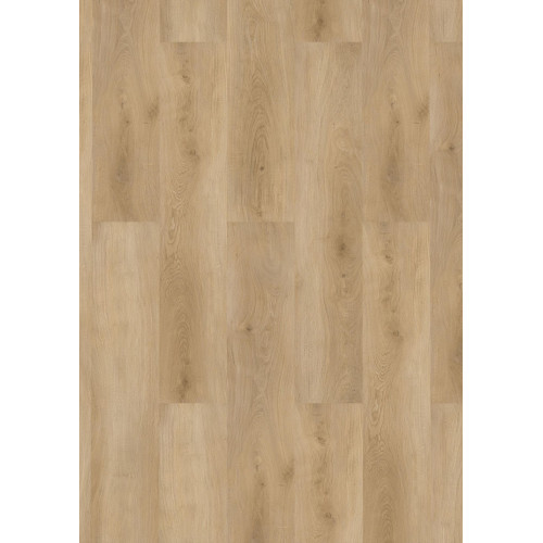 Вінілове покриття SPC CHECK Basic BUCHRASEN OAK 2461 (4,5 мм)