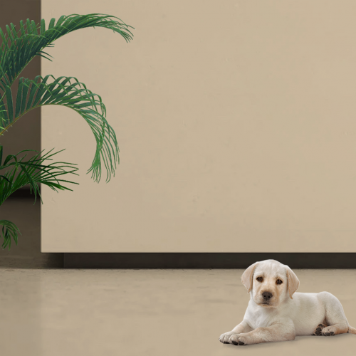 Алюмінієвий плінтус прихованого монтажу 30 мм RAL ALU-S3015